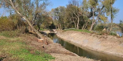 Wasserprojekt - Gewässerschutz: Feuchtwiesen - Wienerwald Süd-Alpin - Renaturierungsmaßnahmen Österreichs