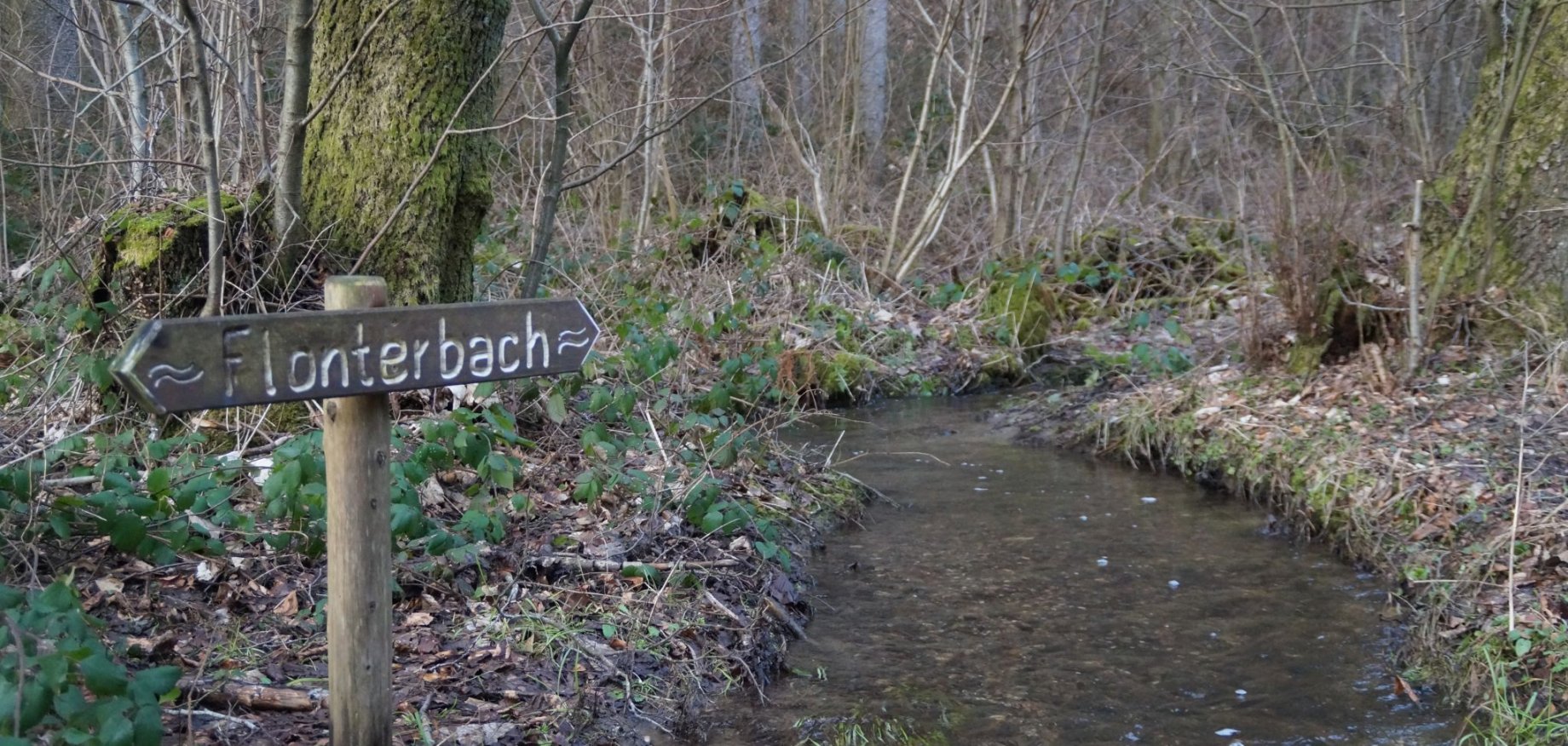 Wasserprojekt - Gewässerschutz: Gewässerschutz - Bonn - Renaturierung -  Verbandsgemeinde Saarburg