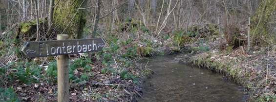 Wasser: Renaturierung - Verbandsgemeinde Saarburg