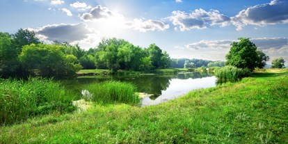 Wasserprojekt - Gewässerschutz: Feuchtwiesen - Rathenow - Der BUND-Arbeitskreis Wasser