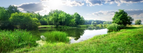 Wasser: Wasser fürs Leben, Wasser für Menschen