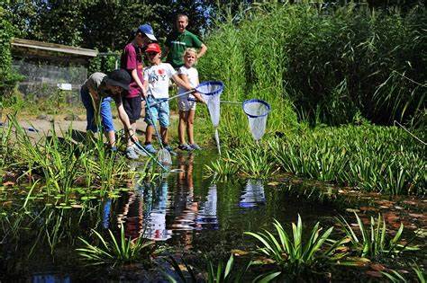 Wasserprojekt - WasserKinder: WasserWissen - Deutschland - Naturdetektive untersuchen das Leben im Wasser