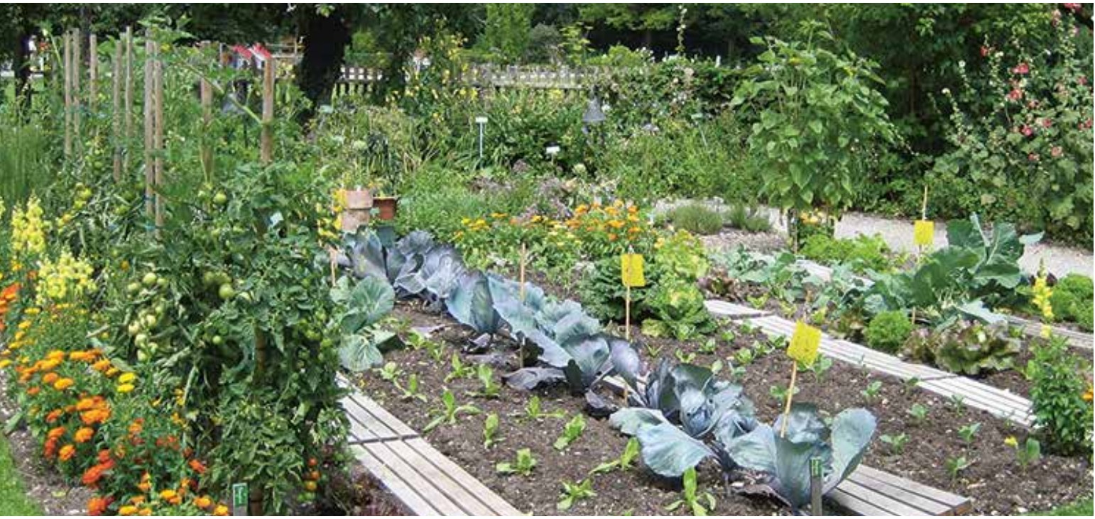 Wasserprojekt - Regenwasser muss versickern können – Helft mit, Flächen zu entsiegeln