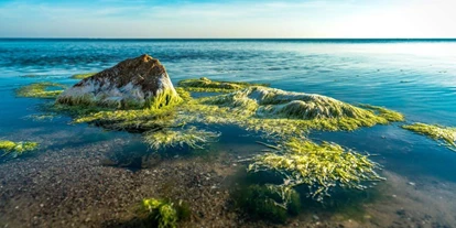 Wasserprojekt - Gnarrenburg - Willkommen in Unterwasserwelt der Ostsee