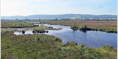Wasserprojekt - Moorprojekte: Moorrenaturierung - Berlin-Umland - Ein „Moorhus" für das Große Torfmoor