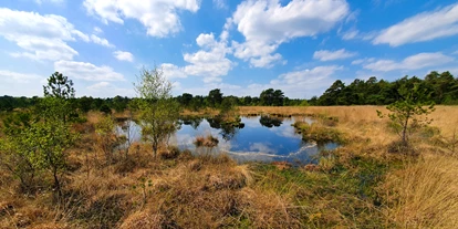 Wasserprojekt - Moorprojekte: Moorrenaturierung - Berlin-Umland - Startschuss für Renaturierungs-Projekt in Niedersachsen