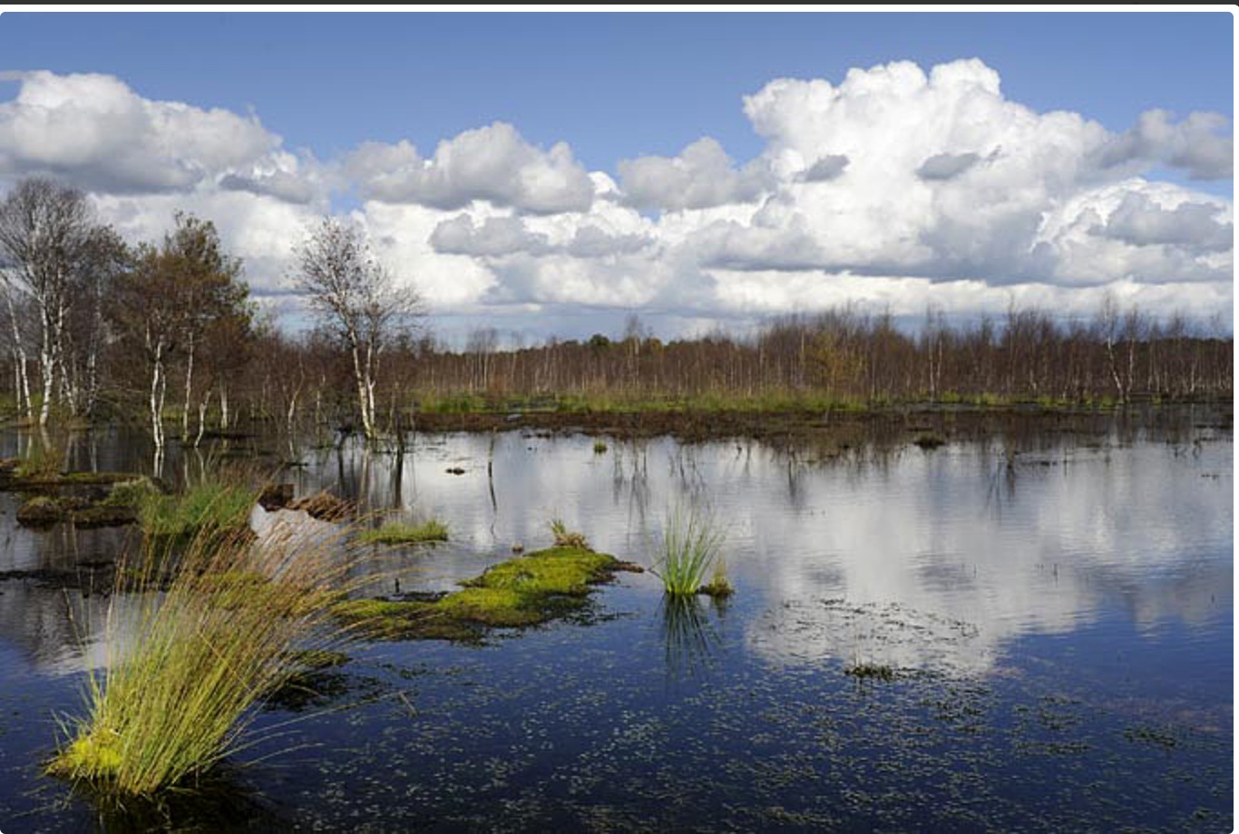 Wasserprojekt - Gewässerschutz: Gewässerschutz - Brandenburg Süd - MoorProjekt - Neue Strategie zum Wassermanagement in der Landschaft notwendig