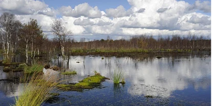Wasserprojekt - Moorprojekte: Moorrenaturierung - Berlin-Umland - MoorProjekt - Neue Strategie zum Wassermanagement in der Landschaft notwendig