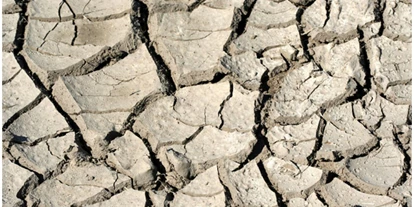 Wasserprojekt - Moorprojekte: Moorrenaturierung - Berlin-Umland - MoorProjekt - Neue Strategie zum Wassermanagement in der Landschaft notwendig