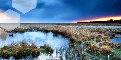 Wasserprojekt - Moorprojekte: Moorwiedervernässung - Leipheim - Das Ökosystem Moor schützen, denn Moorschutz ist Klimaschutz!