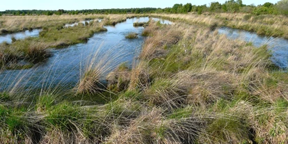 Wasserprojekt - Gnarrenburg - Moorschutz im Gesetz