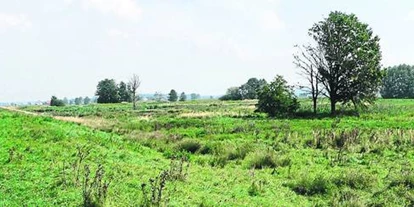 Wasserprojekt - Moorprojekte: Moorwiedervernässung - Leipheim - Arbeitsgemeinschaft Schwäbisches Donaumoos e.V.