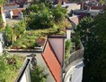 Wasser: GründachPLUS – Berlins Förderprogramm für mehr Dachbegrünung