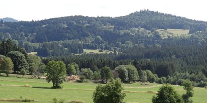Wasserprojekt - Deggendorf - MOORPROJEKT AM GRÜNEN BAND BAYERN-TSCHECHIEN