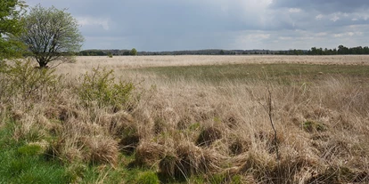Wasserprojekt - Gnarrenburg - Fröslev-Jardelunder Moor